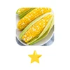 Corn on the Cob