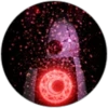 Rosey's Enlightenment