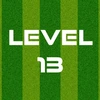 Complete Level 13