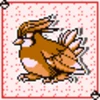 Pidgeotto