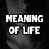 The Meaning of Life