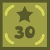 30 Stars