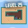 Level 25