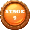 Stage 9