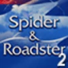 Spider & Roadster (Professional) - Race #2