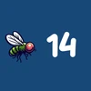 Flies 14