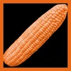 OrangeOrange corn