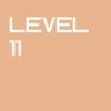 Level 11