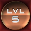 Level 5