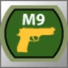 Pistolier Award (M9)