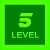 Level 5