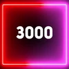 3000