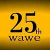 25th wave