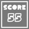 Score 55