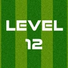 Complete Level 12