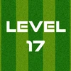 Complete Level 17