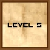 Level 5