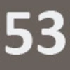 53