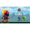 Level 9