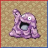 Professor Bridgette Challenge: Grimer Family