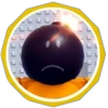 survivor