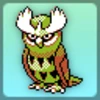 Noctowl