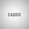 CAQUIS