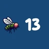 Flies 13