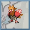 Spearow