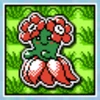 Bellossom