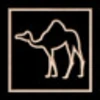 Dromedary