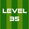 Complete Level 35