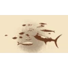 Los peces son mis amigos