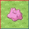 Professor Bridgette Challenge: Ditto