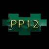 PLAY PUZZLE 12