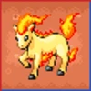 Professor Bridgette Challenge: Ponyta Family