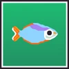 Neon Rainbowfish Collector