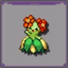 Bellossom