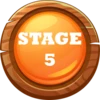 Stage 5