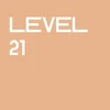 Level 21