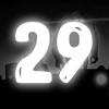 29