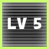 LEVEL 5 