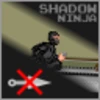 The Shadow Ninja Warrior