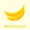 FRUIT SEASONS BANANA VI