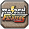 Completed: Raiden Fighters