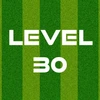 Complete Level 30