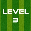 Complete Level 3