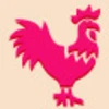 rooster