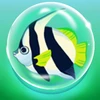 Beginner Fish Hunter