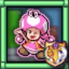 Toadette's Challenge Battles